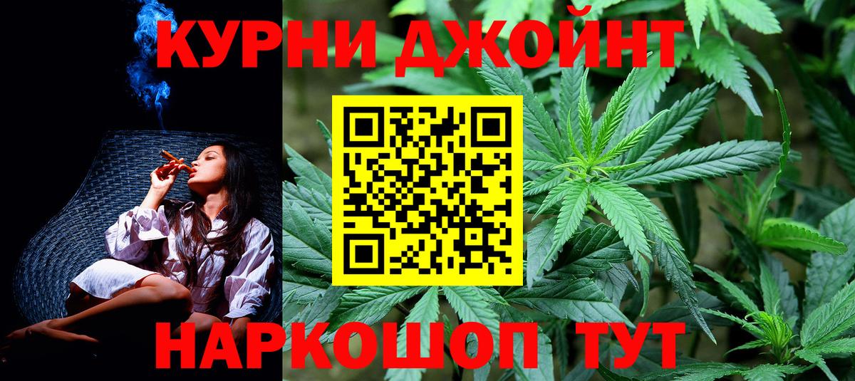 Конопля гибрид Кстово